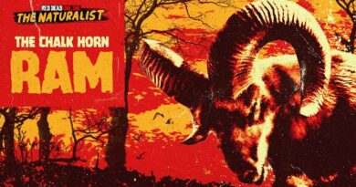 thumbnail image015 Red Dead Online