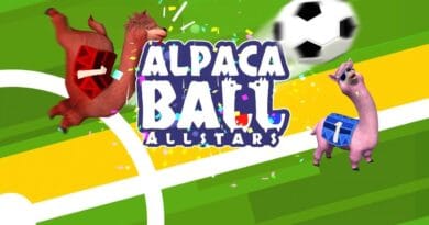 alpaca ball