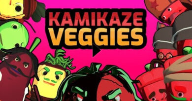 Kamikaze Veggies