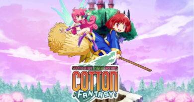 cotton fantasy cotton fantasy