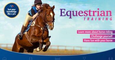 Equestrian Training Equestrian Training
