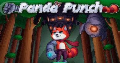 Panda Punch