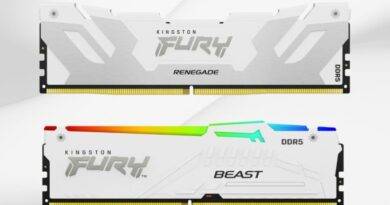 Dungeons kingston fury ddr5