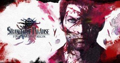 stranger of paradise final fantasy