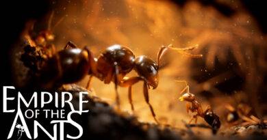 Empire of the Ants