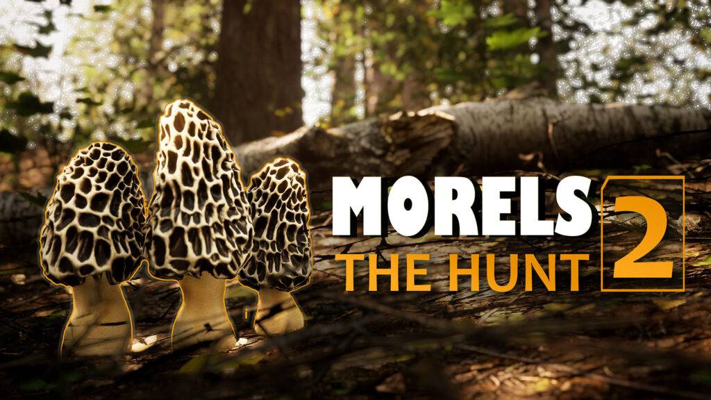 Morels: The Hunt 2