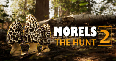 Morels: The Hunt 2