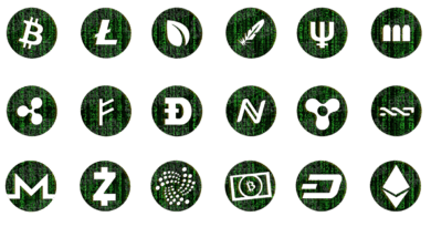 Monster Camp XXL criptomoedas criptomoedas