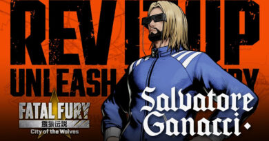fatal fury fatal fury dj salvatore