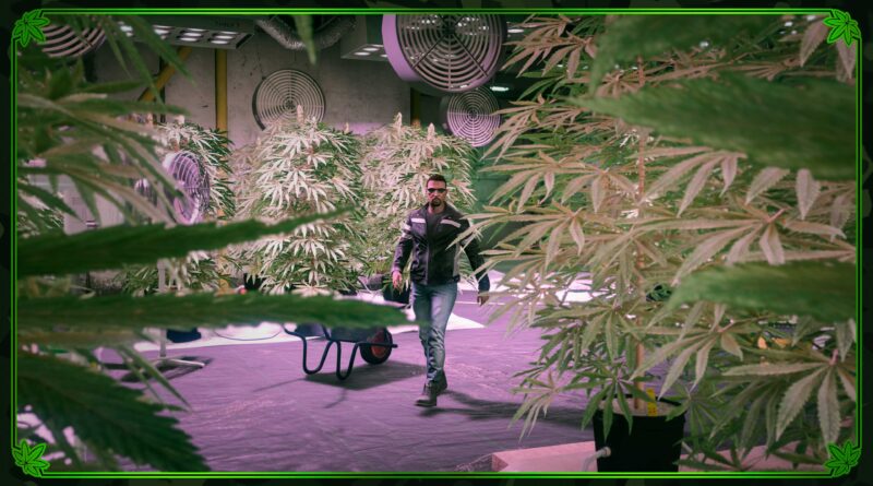 GTA Online