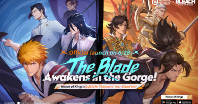 black desert honor of kings bleach