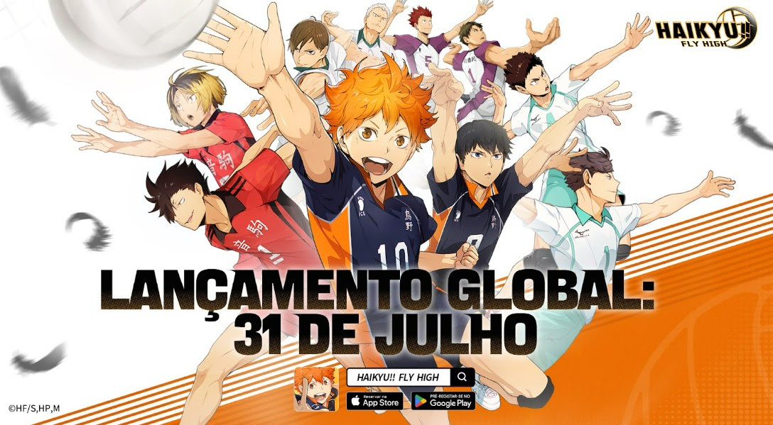 HAIKYU!! FLY HIGH