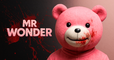 Mr Wonder