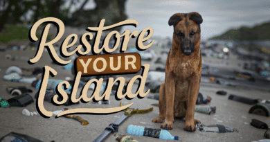 Restore Your Island