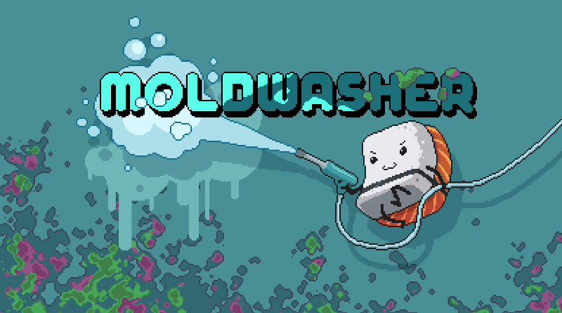 Moldwasher