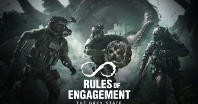 Rules of Engagement: The Grey State