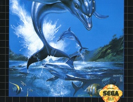 Ecco the Dolphin